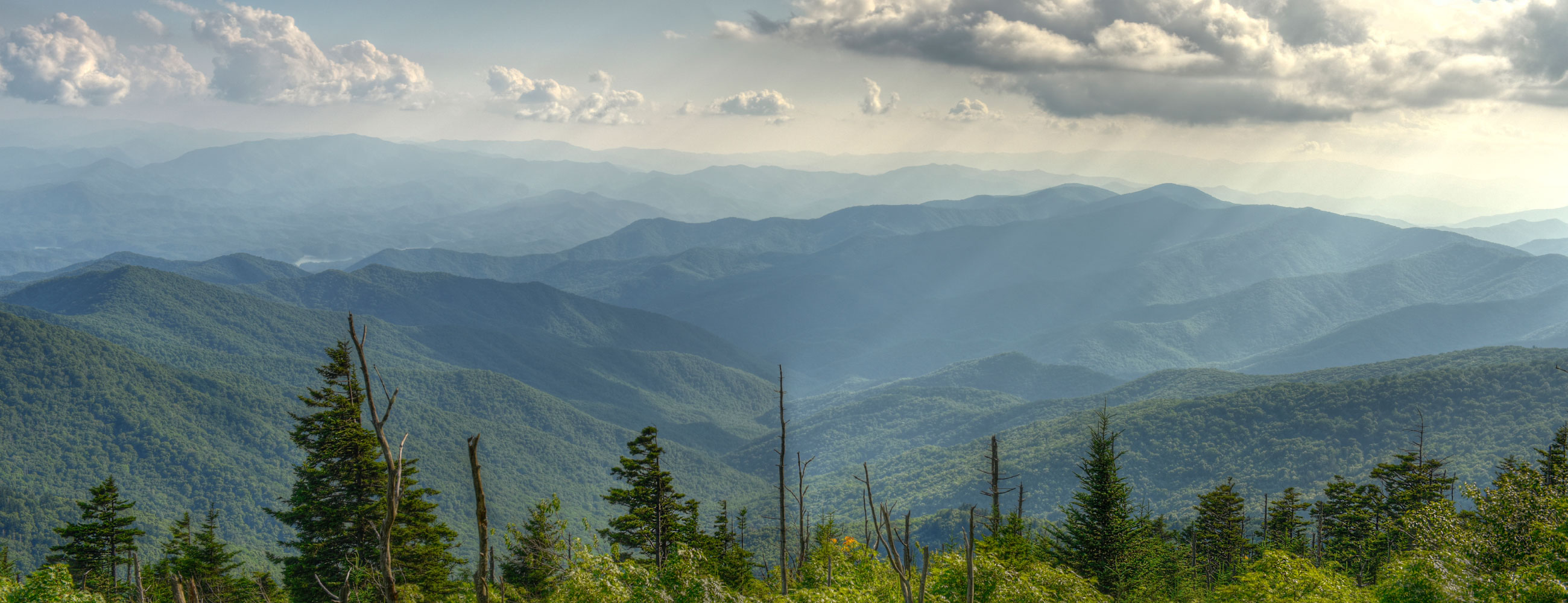 TUNNELX OFFICIAL STORE